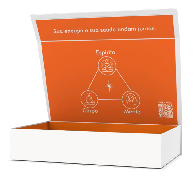 Imagem dos Produtos do Kit Clean21